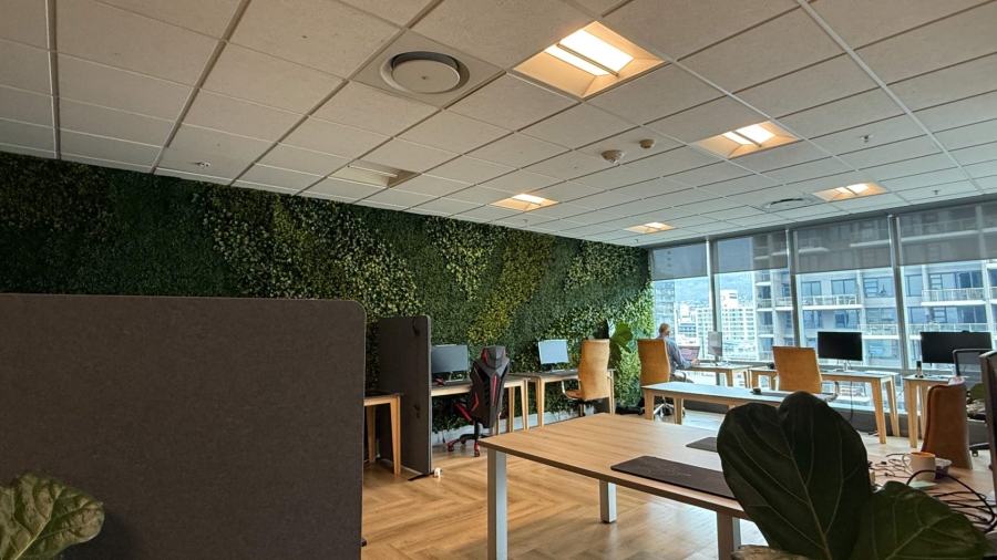 To Let commercial Property for Rent in Cape Town City Centre Western Cape